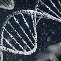 Mind Body Wellness Research